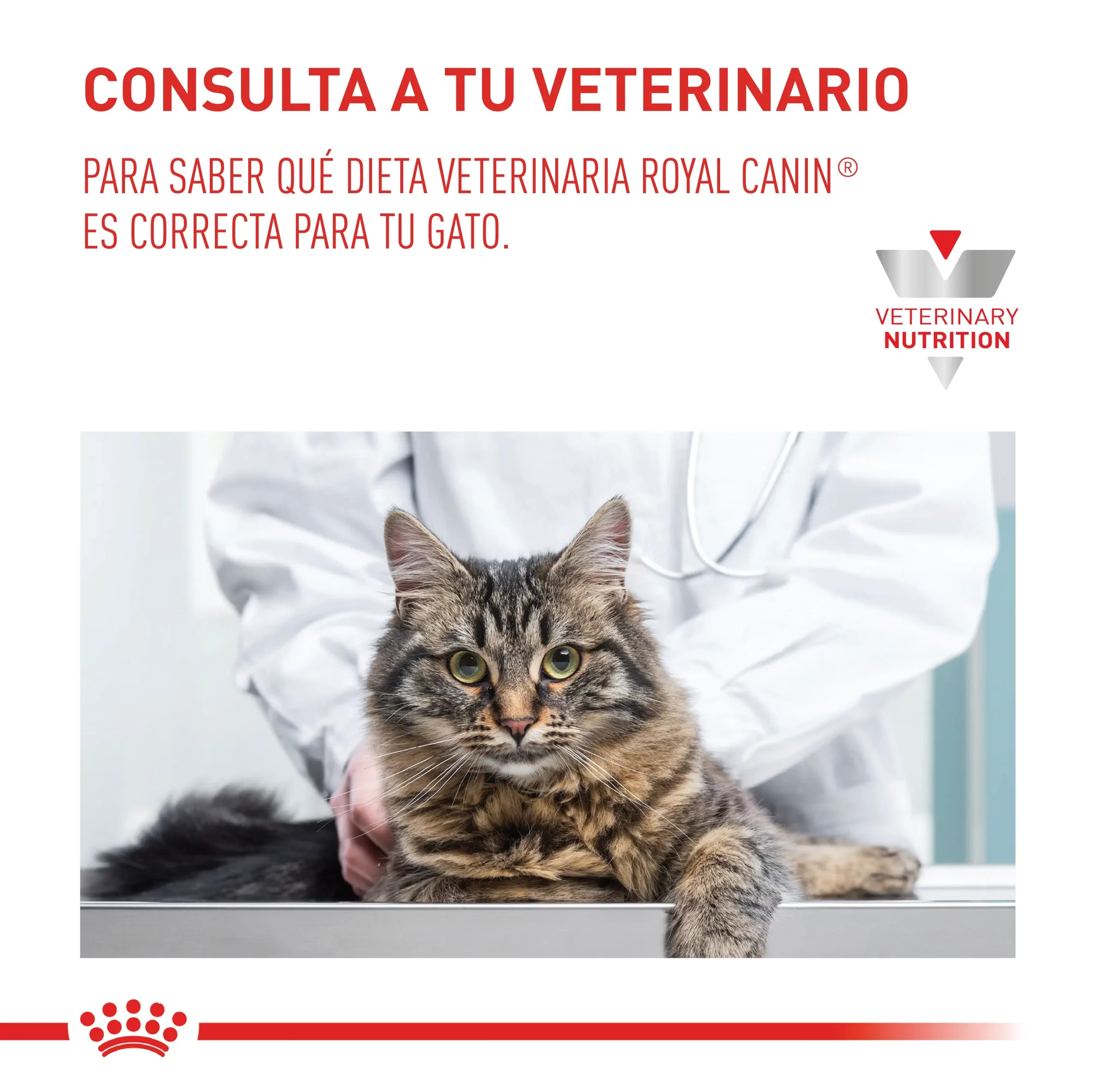 Alimento Para Gato Royal Canin Urinary S/O VHN - Image 4