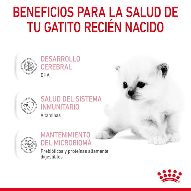 Alimento para Kitten Royal canin Babycat Milk - Image 2
