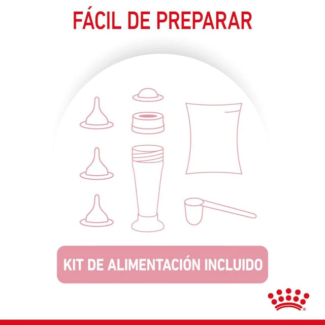 Alimento para Kitten Royal canin Babycat Milk - Image 4