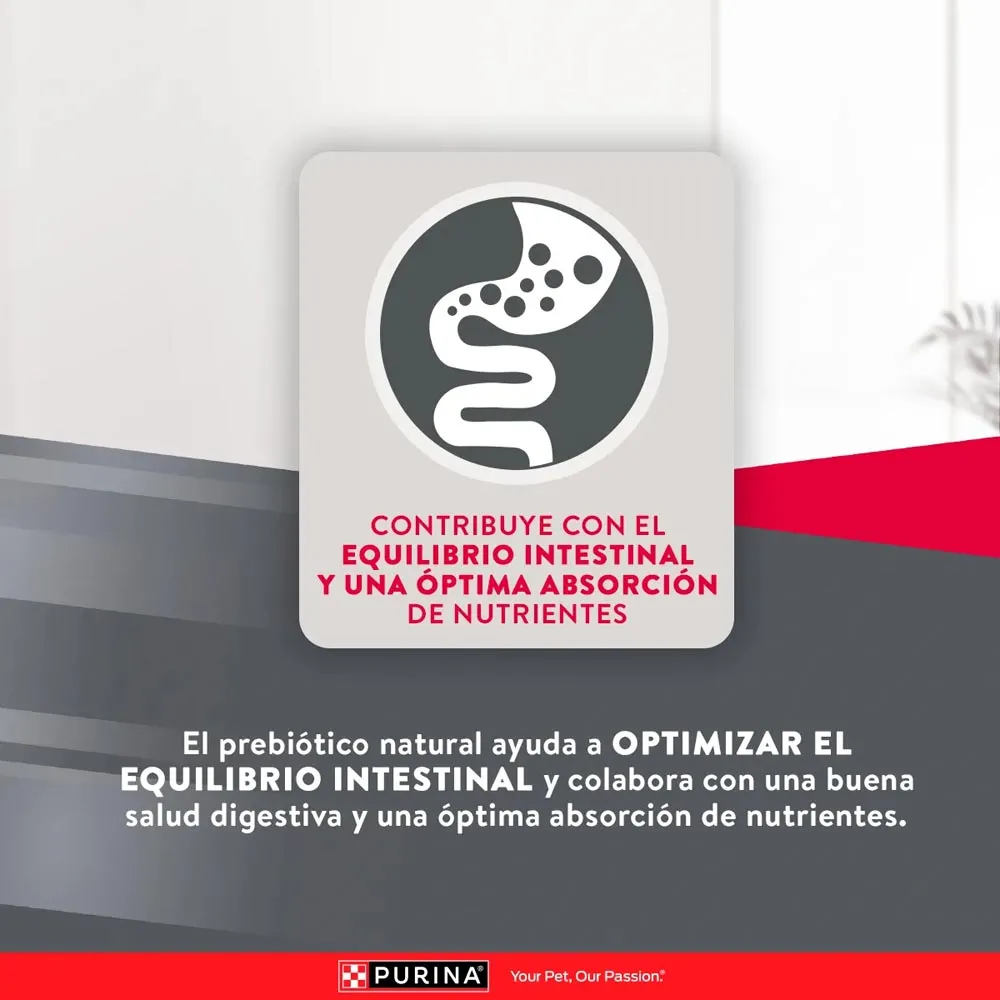 Alimento Excellent Chicken Rice Para Perro Adulto - Image 6
