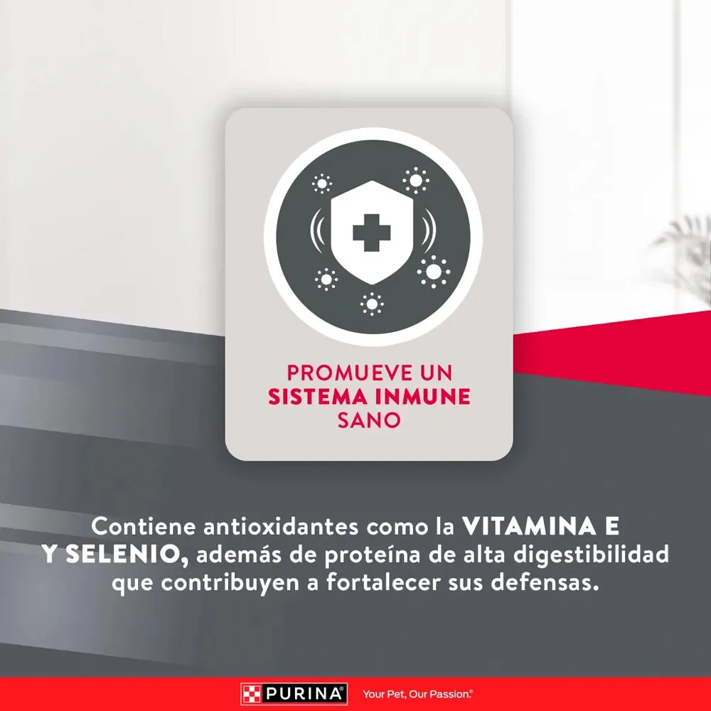 Alimento Excellent Chicken Rice Para Perro Adulto - Image 7