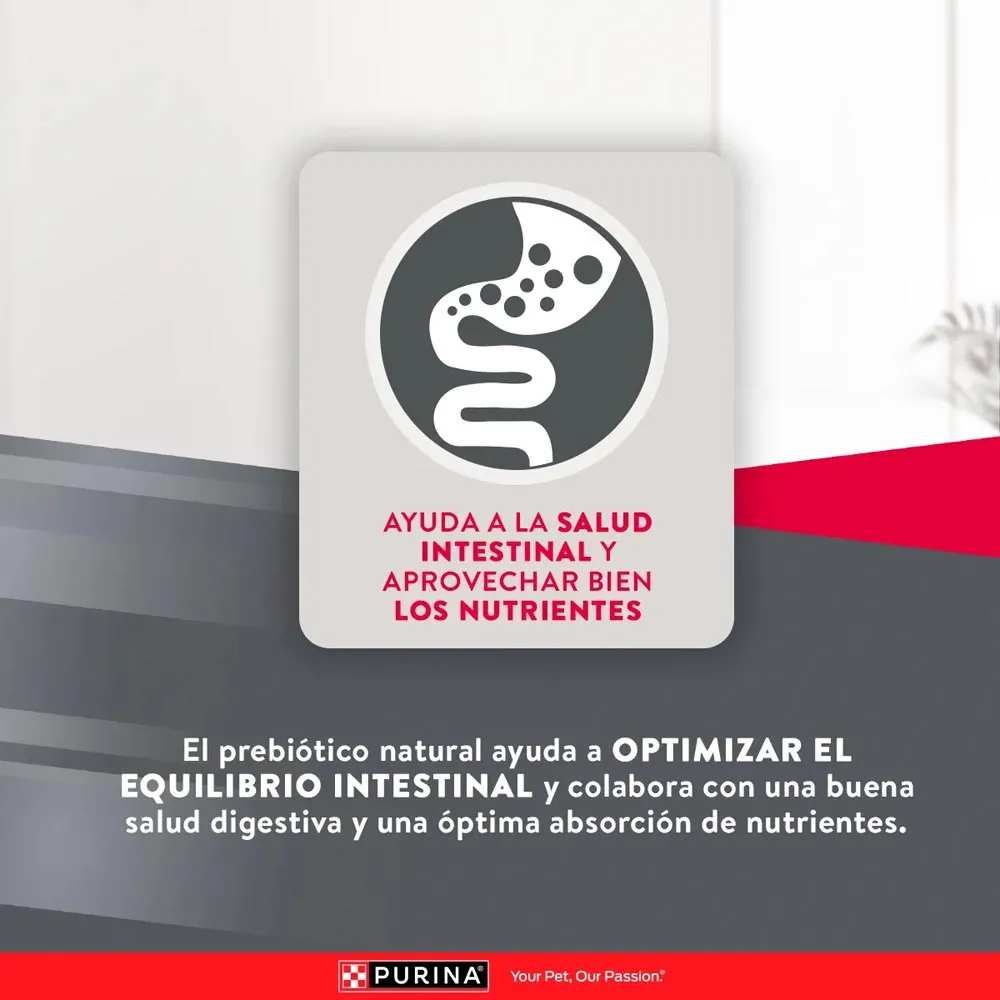 Alimento Excellent Para Perro Adulto Raza Pequeña - Image 7