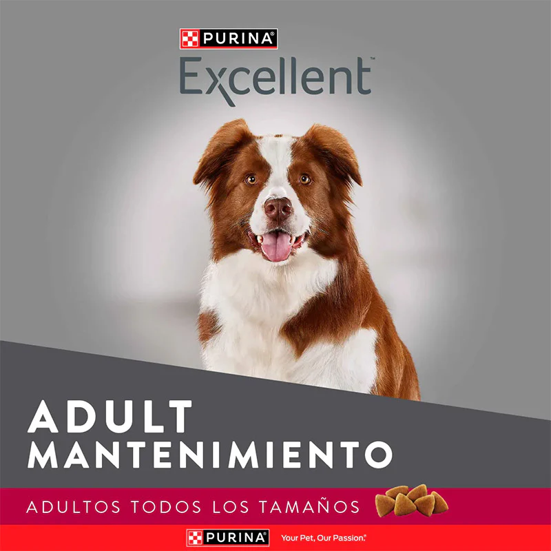 Alimento Seco Excellent Maintenance Adult para Perro - Image 2