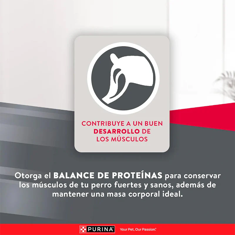 Alimento Seco Excellent Maintenance Adult para Perro - Image 6