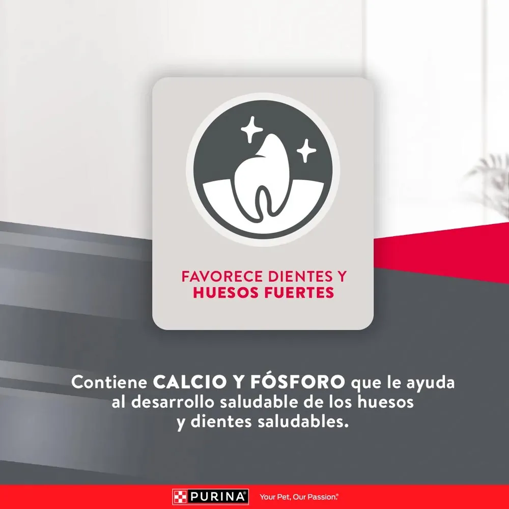 Alimento Excellent Chicken Rice Para Perro Puppy - Image 6