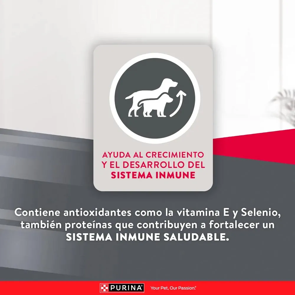Alimento Excellent Chicken Rice Para Perro Puppy - Image 8