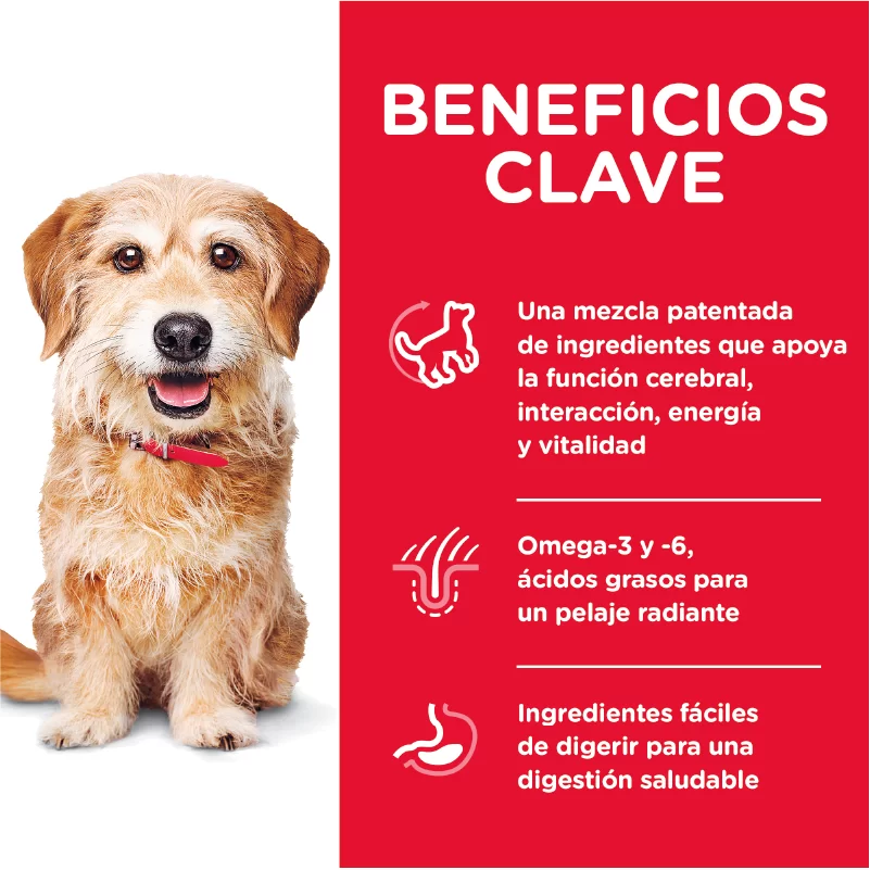 Alimento Seco Hills Youthful Small Toy Breed para Perro - Image 4