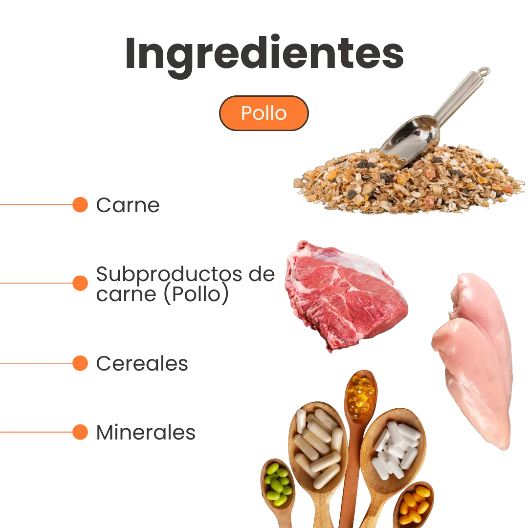 Alimento Húmedo Receta Pollo Kanu Pet para Perro - Image 3