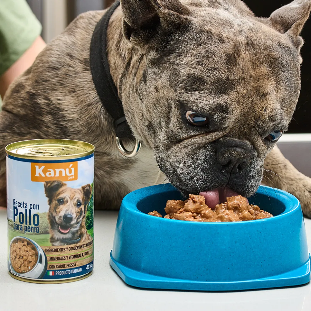Alimento Húmedo Receta Pollo Kanu Pet para Perro - Image 5