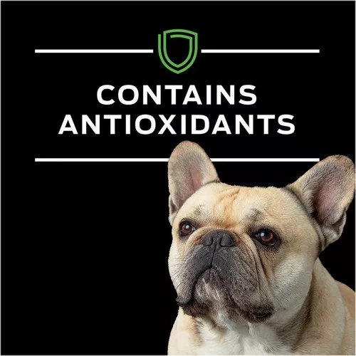 Alimento Húmedo Proplan Veterinary Diet HA Canine para Perro - Image 3