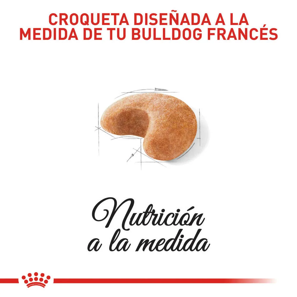 Alimento para perro Royal Canin Bulldog Frances - Image 2