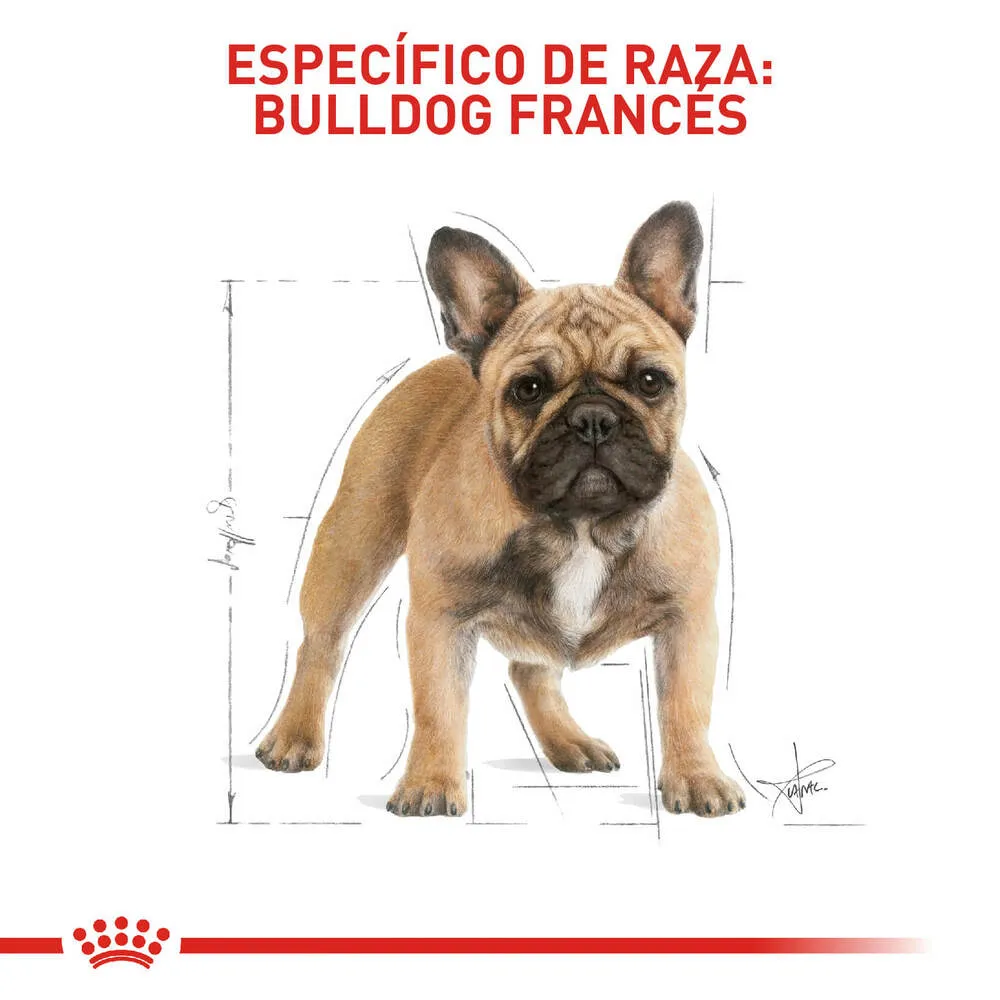 Alimento para perro Royal Canin Bulldog Frances - Image 3