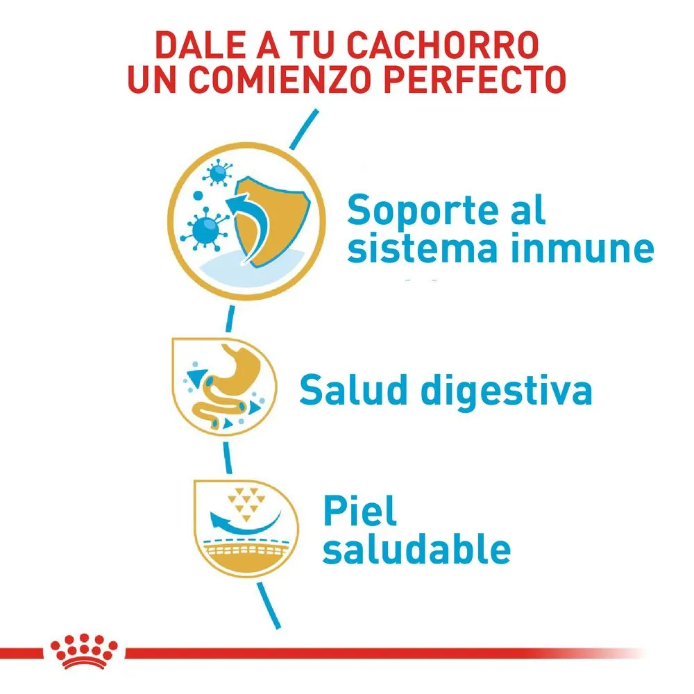 Alimento Para Perro Royal Canin Bulldog Frances Puppy 3 KG Obsequio 1.3 KG - Image 5
