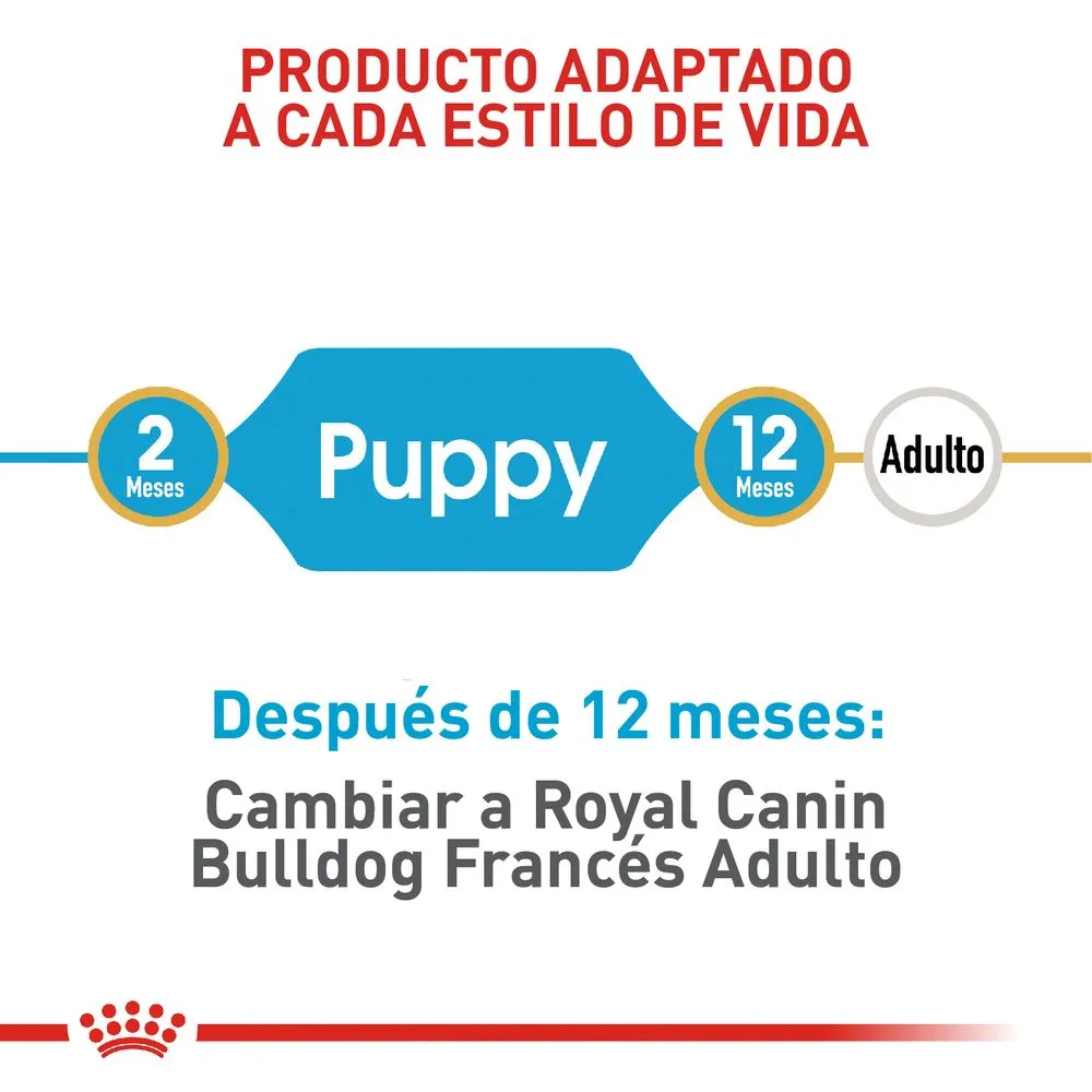 Alimento Para Perro Royal Canin Bulldog Frances Puppy 3 KG Obsequio 1.3 KG - Image 6