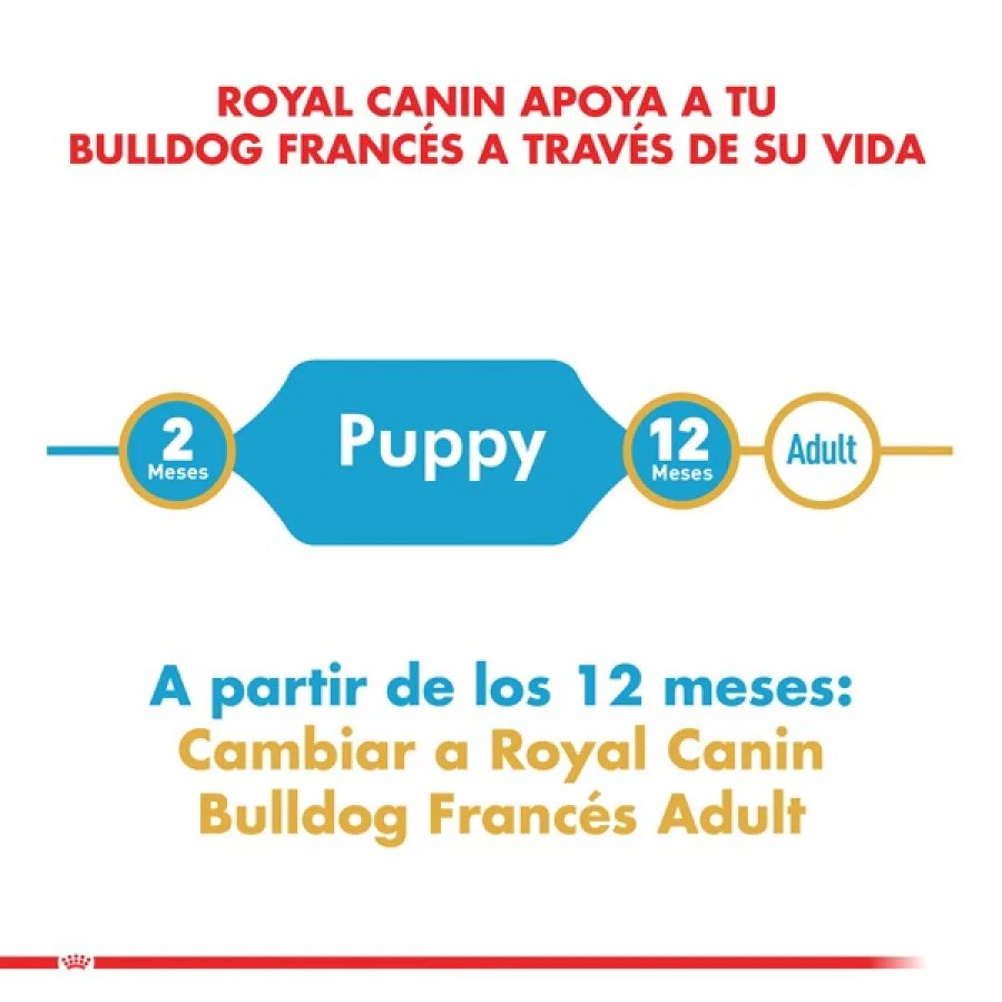 Alimento Para Perro Royal Canin Bulldog Frances Puppy Precio Especial - Image 3