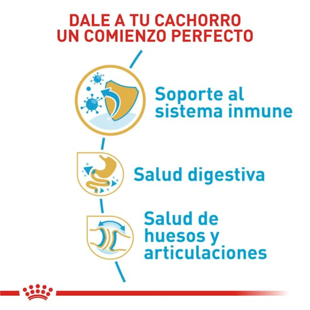 Alimento para perro Royal Canin Bulldog Inglés Cachorro - Image 3