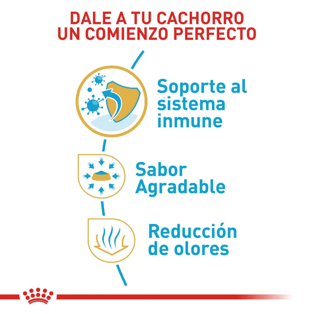Alimento Para Perro Royal canin Chihuahua Junior - Image 5