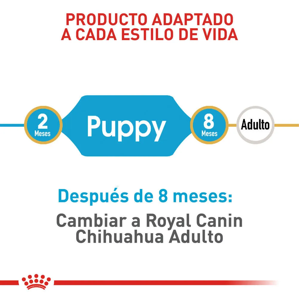 Alimento Para Perro Royal canin Chihuahua Junior - Image 6