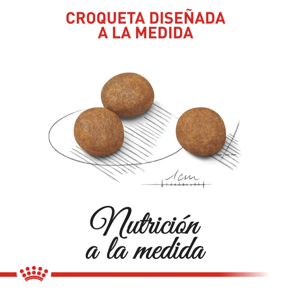 Alimento para perro Royal Canin Medium Junior - Image 2