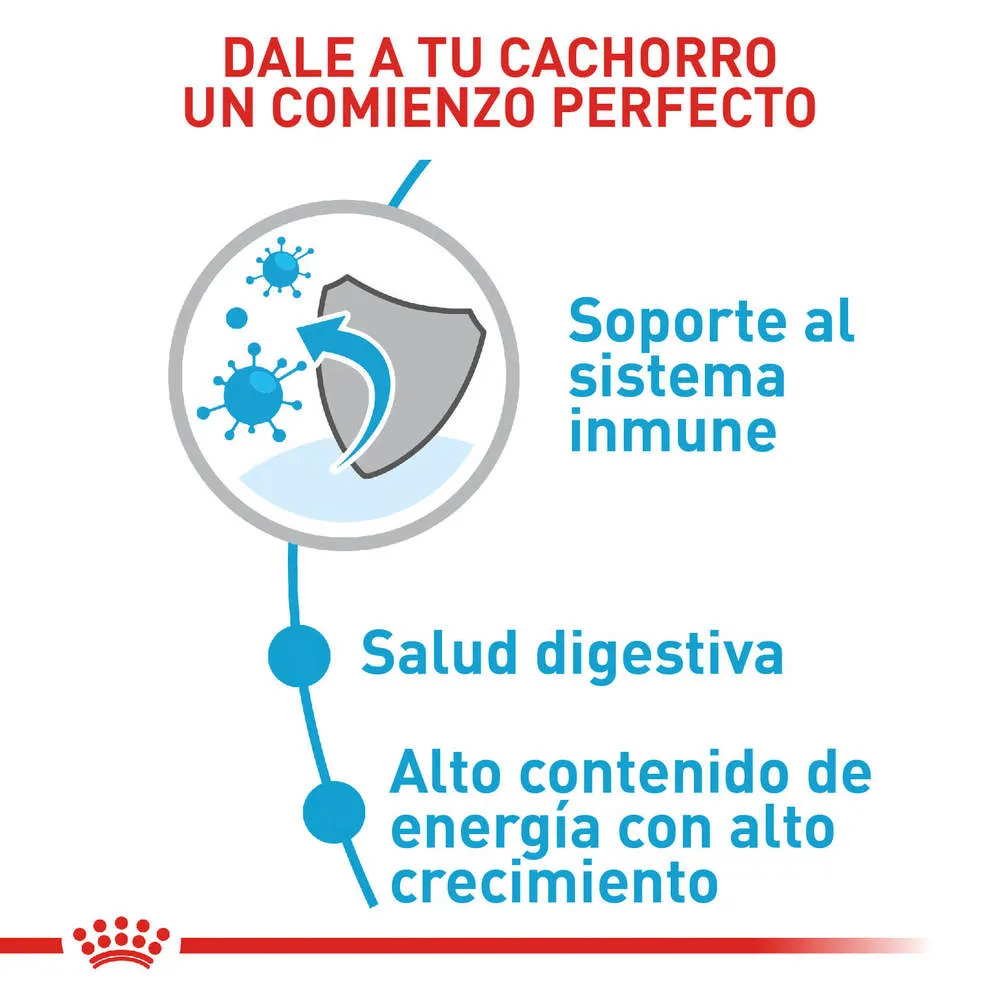 Alimento para perro Royal Canin Medium Junior - Image 3