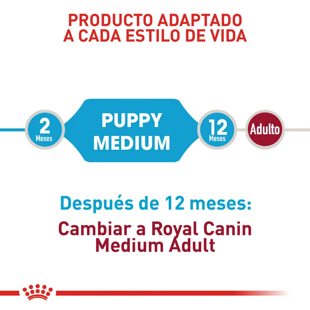 Alimento para perro Royal Canin Medium Junior - Image 5