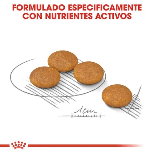 Alimento Para Perro Royal Canin Mini Dermacomfort - Image 2