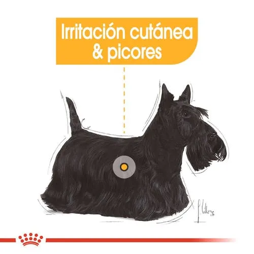 Alimento Para Perro Royal Canin Mini Dermacomfort - Image 3