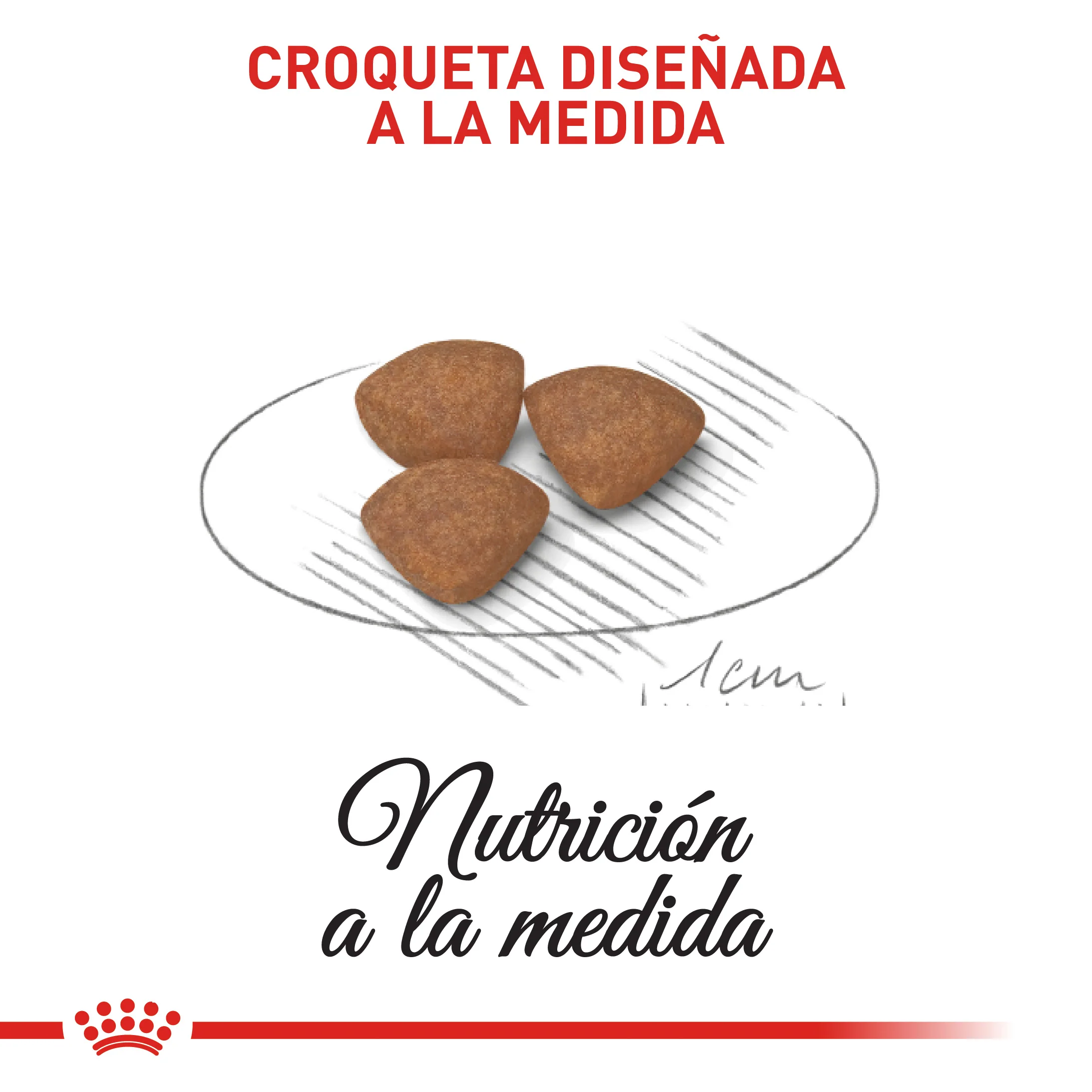 Alimento Para Perro Royal Canin Mini Puppy Precio Especial - Image 2