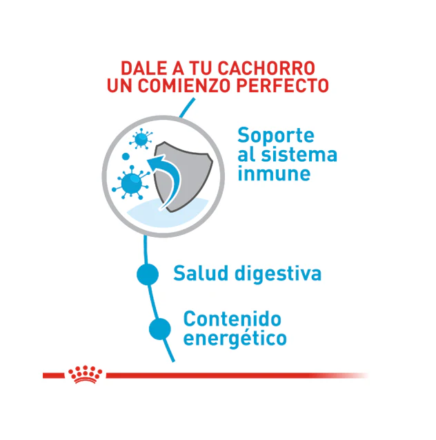 Alimento Para Perro Royal Canin Mini Puppy Precio Especial - Image 3