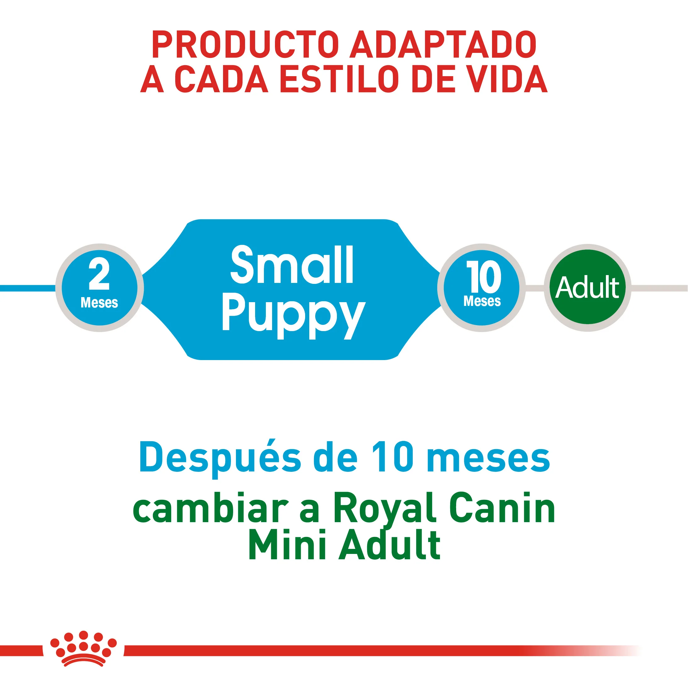 Alimento Para Perro Royal Canin Mini Puppy Precio Especial - Image 5