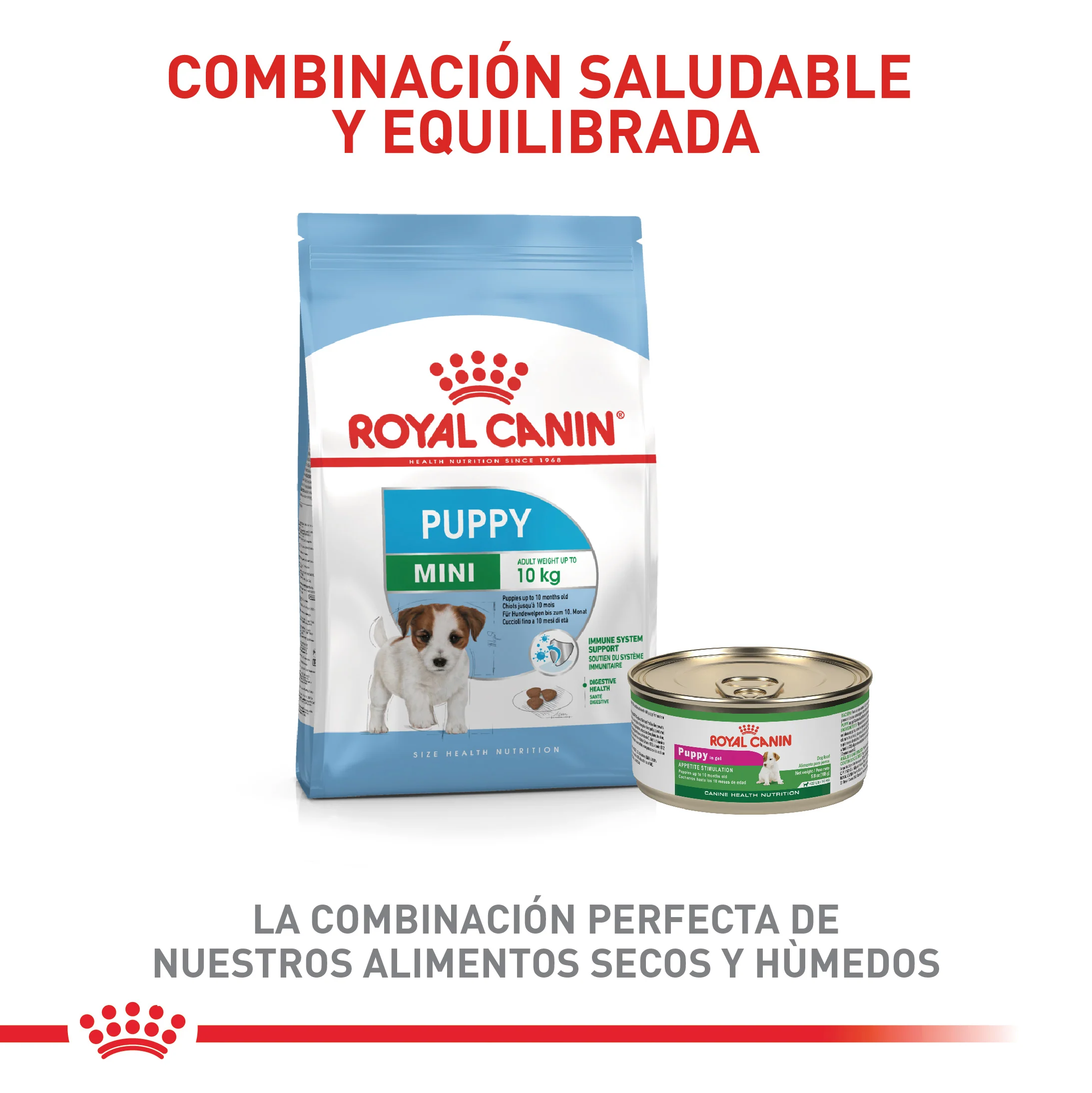 Alimento Para Perro Royal Canin Mini Puppy Precio Especial - Image 6