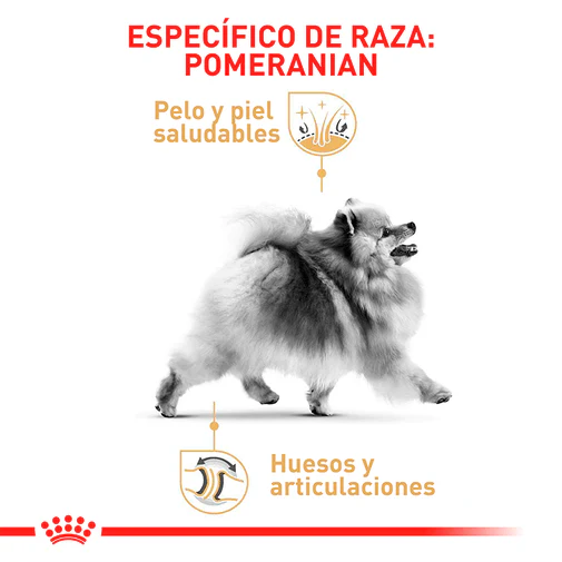 Alimento Para Perro Royal Canin Pomerania - Image 3