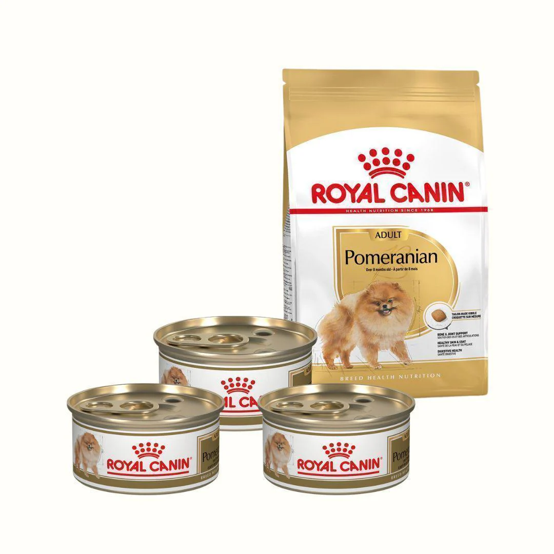 Alimento Seco Royal Canin Pomerania Especial Pack Para Perro