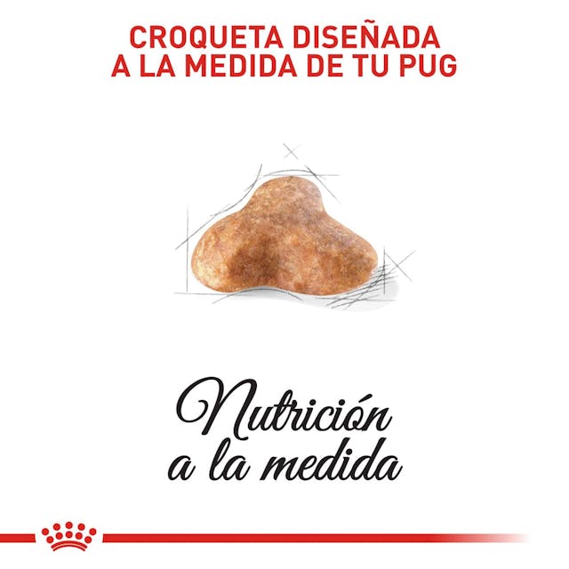 Alimento para perro Royal Canin Pug Adulto - Image 4