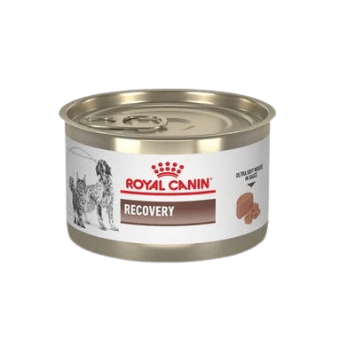 Alimento Húmedo Royal Canin Recovery Para Perro