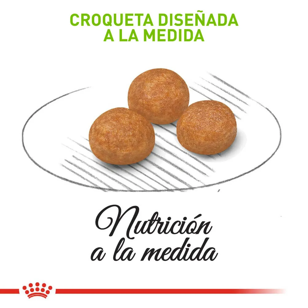 Alimento Para Perro Royal Canin X-Small Adult - Image 2