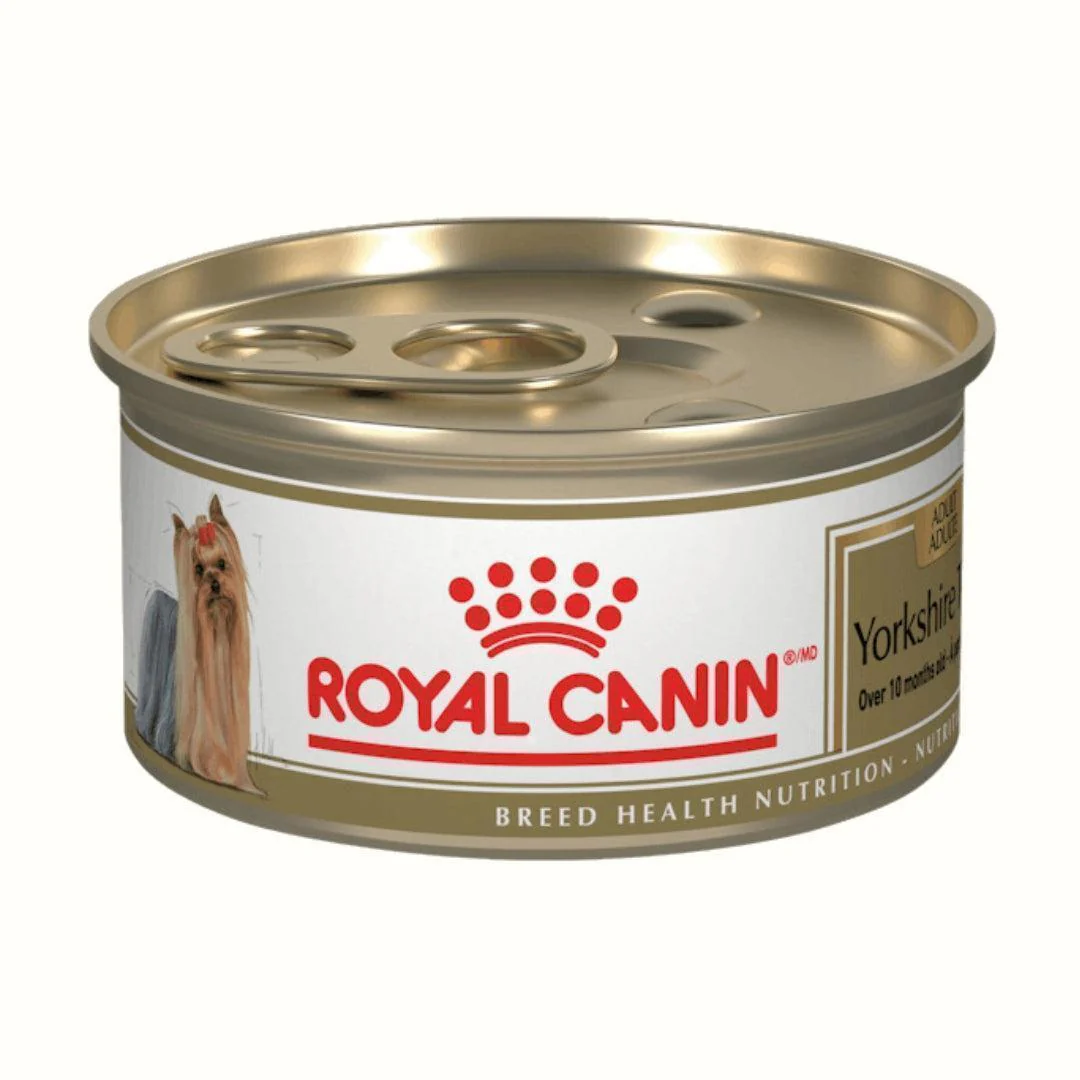 Alimento Húmedo Royal Canin Para Perro Yorkshire Terrier