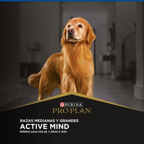 Alimento Seco Proplan Cachorros Complete para Perro - Image 4