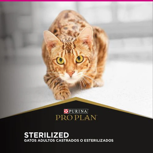 Alimento Seco Proplan Sterilized para gato - Image 3