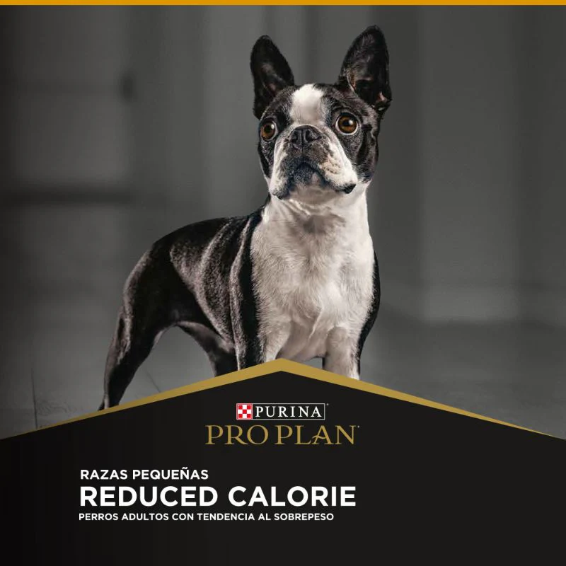 Alimento Seco Proplan Reduce Calorie para Perro Razas Pequeñas - Image 4
