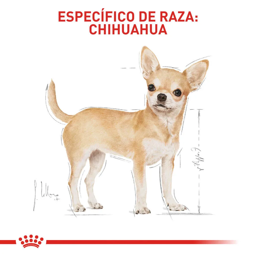 Alimento para perro Royal Canin Chihuahua Adulto - Image 4