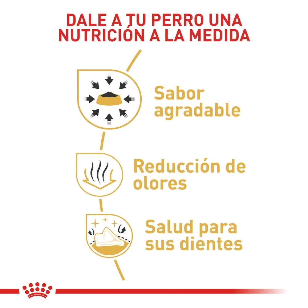 Alimento para perro Royal Canin Chihuahua Adulto - Image 5