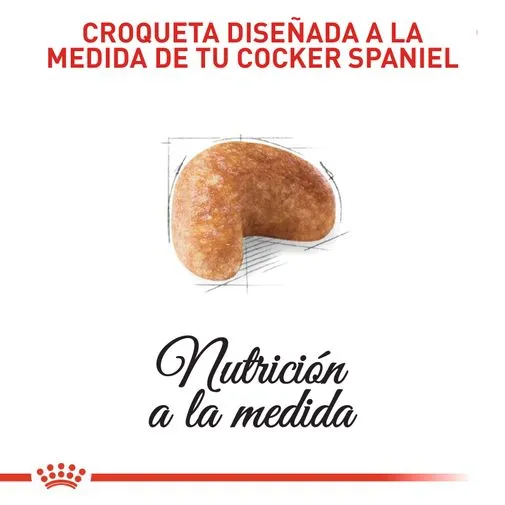 Alimento para perro Royal Canin Cocker - Image 2