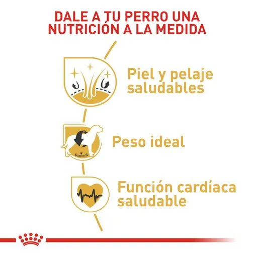 Alimento para perro Royal Canin Cocker - Image 5