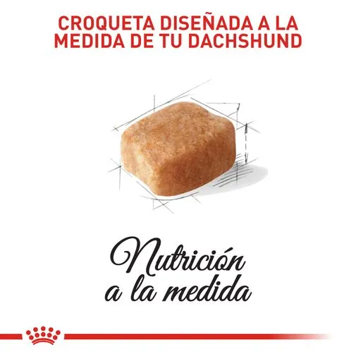 Alimento para perro Royal Canin Dachshund - Image 2