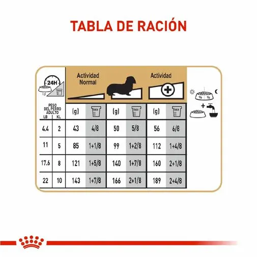 Alimento para perro Royal Canin Dachshund - Image 6