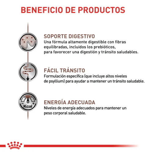 Alimento Para gato Royal Canin Fibre - Image 2