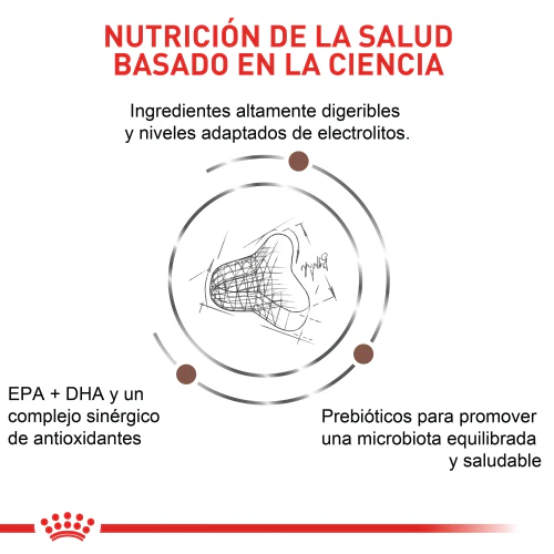 Alimento Para gato Royal Canin Fibre - Image 5