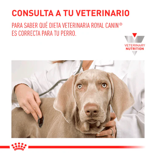 Alimento para perro Royal Canin Vd GastroIntestinal Junior Canino - Image 2