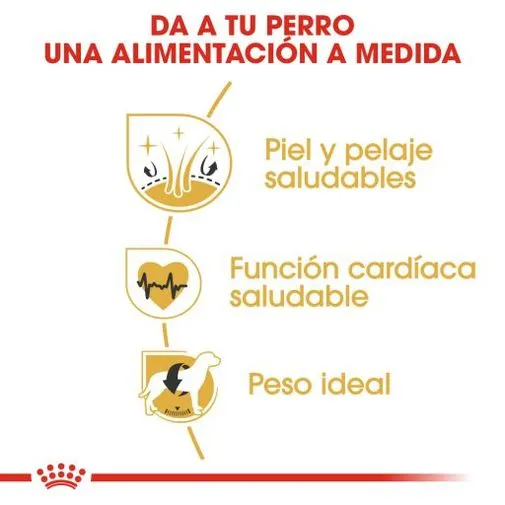 Alimento Seco Royal Canin para perro Golden Retriever - Image 4